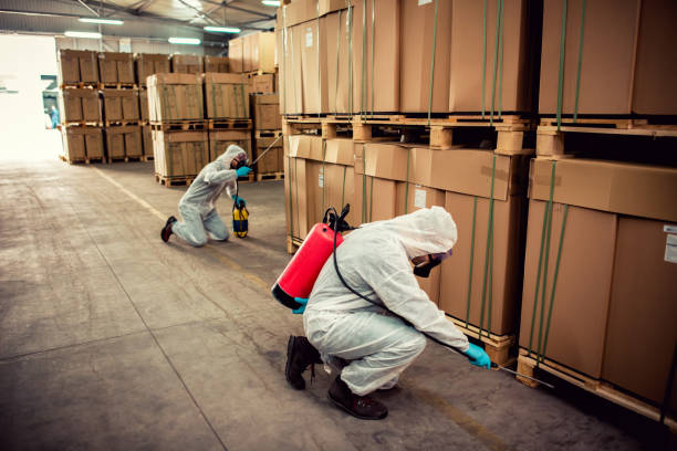 Trusted Eagle Butte, SD Pest Control Experts