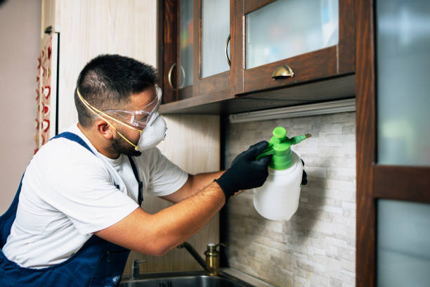 Best Emergency Pest Control  in Eagle Butte, SD