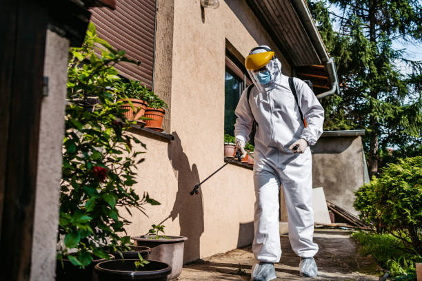 Best Local Pest Control Services  in Eagle Butte, SD