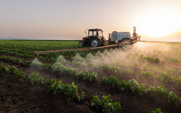 Best Pest Control for Restaurants  in Eagle Butte, SD