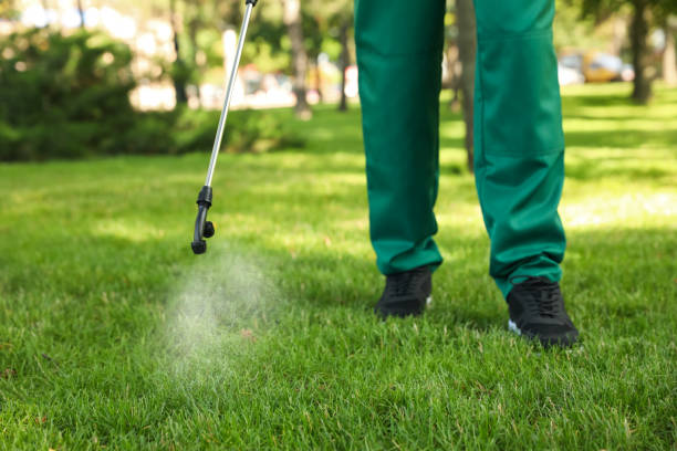 Best Wasp Removal Services  in Eagle Butte, SD