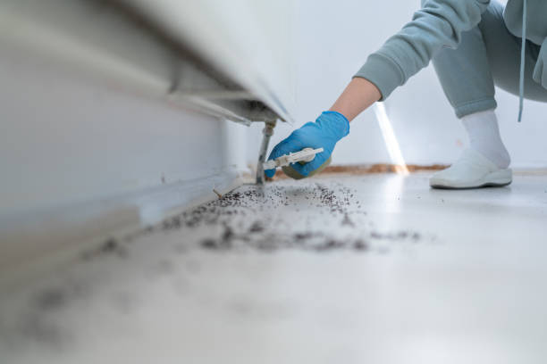 Best Pest Removal Services  in Eagle Butte, SD